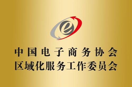 中国电子商务协会区域化服务工作委员会——商务咨询服务的价值与实践